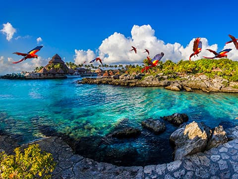 Xcaret, Xel-Há, or Xplor? The Honest Guide to Picking Your Perfect Day Trip